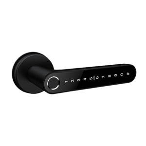 BL-5 Lever